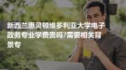 新西兰惠灵顿维多利亚大学电子政务专业学费贵吗?需要相关背景专