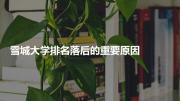 雪城大学排名落后的重要原因