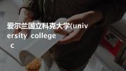 爱尔兰国立科克大学(university college c