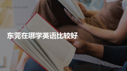 东莞在哪学英语比较好