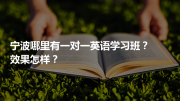 宁波哪里有一对一英语学习班？效果怎样？